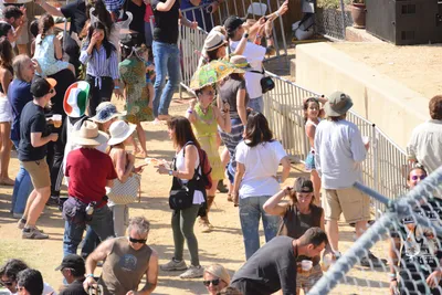 DSC_2105 (Large).JPG